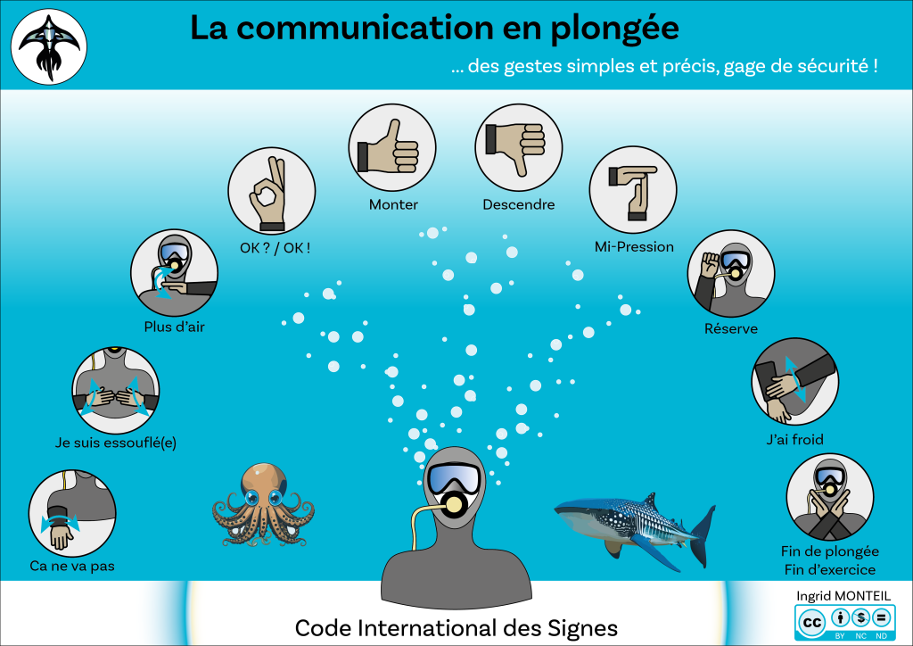 Infographie Plongée